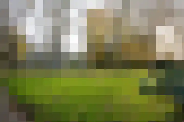 Vliek 3 Haarlem thumbnail 40