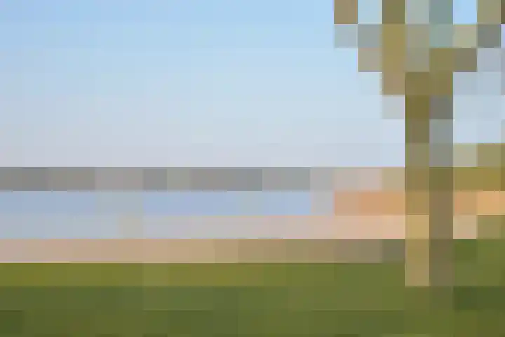 Vliek 3 Haarlem thumbnail 43