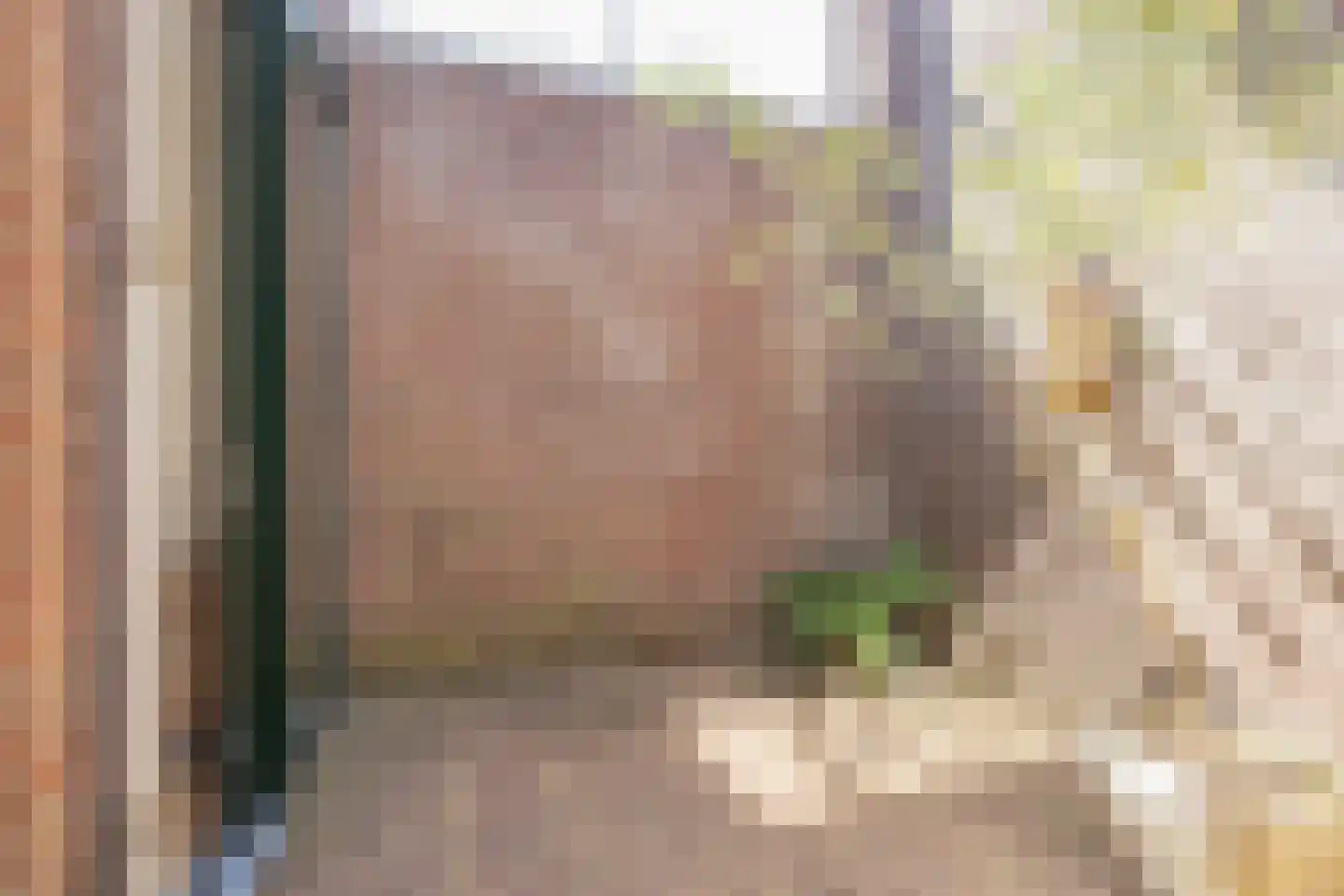 Vliek 32 Haarlem thumbnail 10