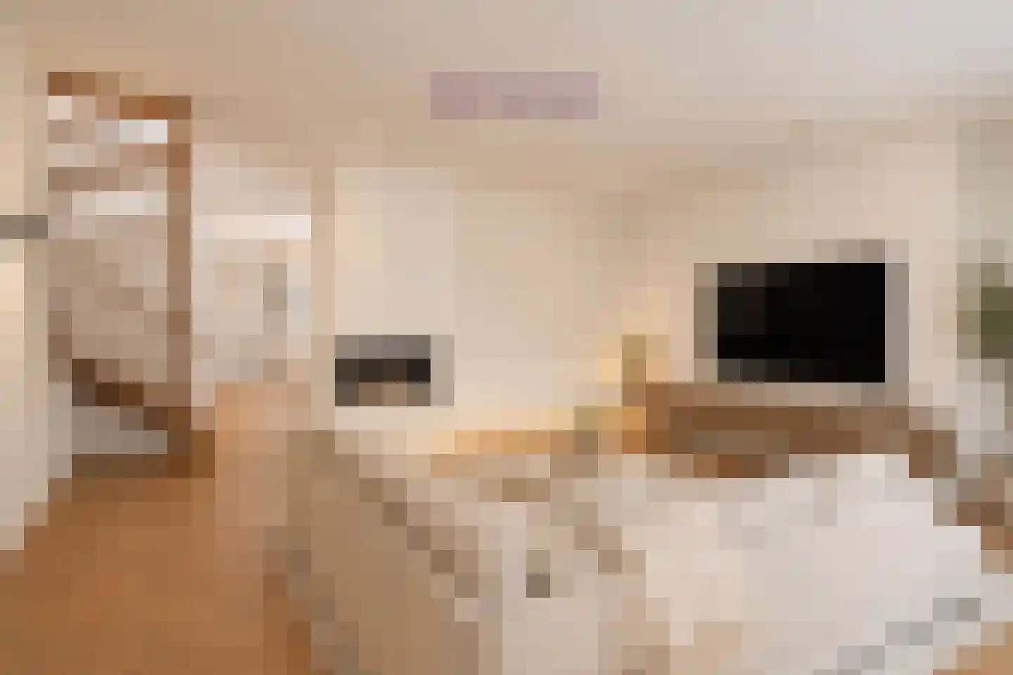 Vliek 32 Haarlem thumbnail 18