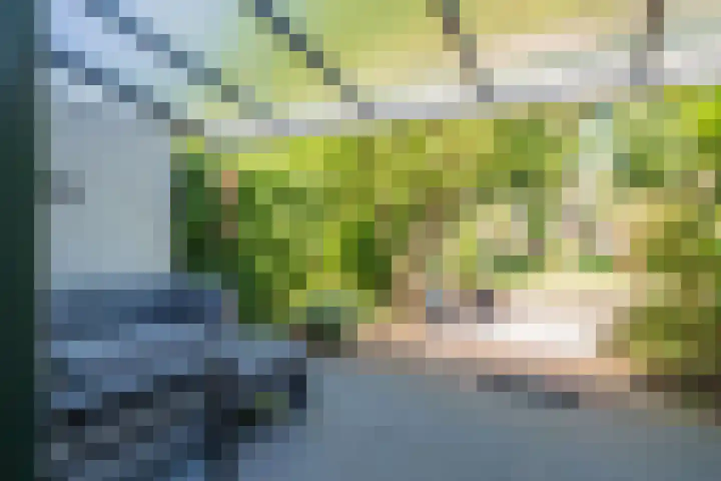 Vliek 32 Haarlem thumbnail 39