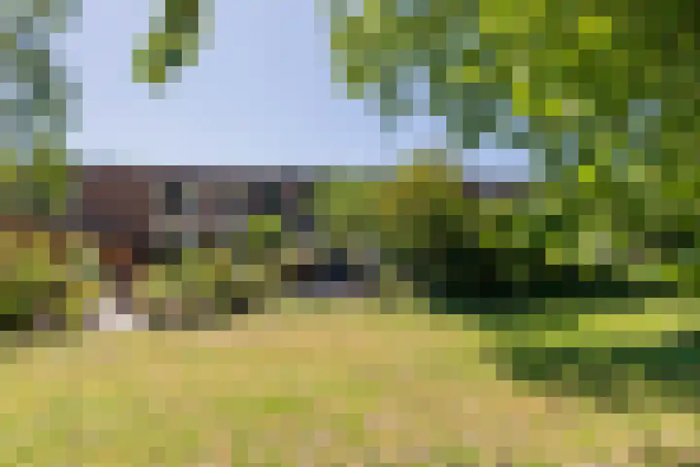 Vliek 32 Haarlem thumbnail 43