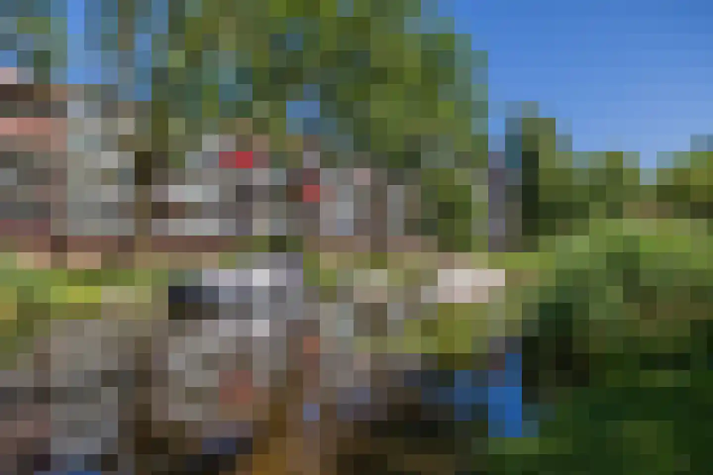 Vliek 32 Haarlem thumbnail 46