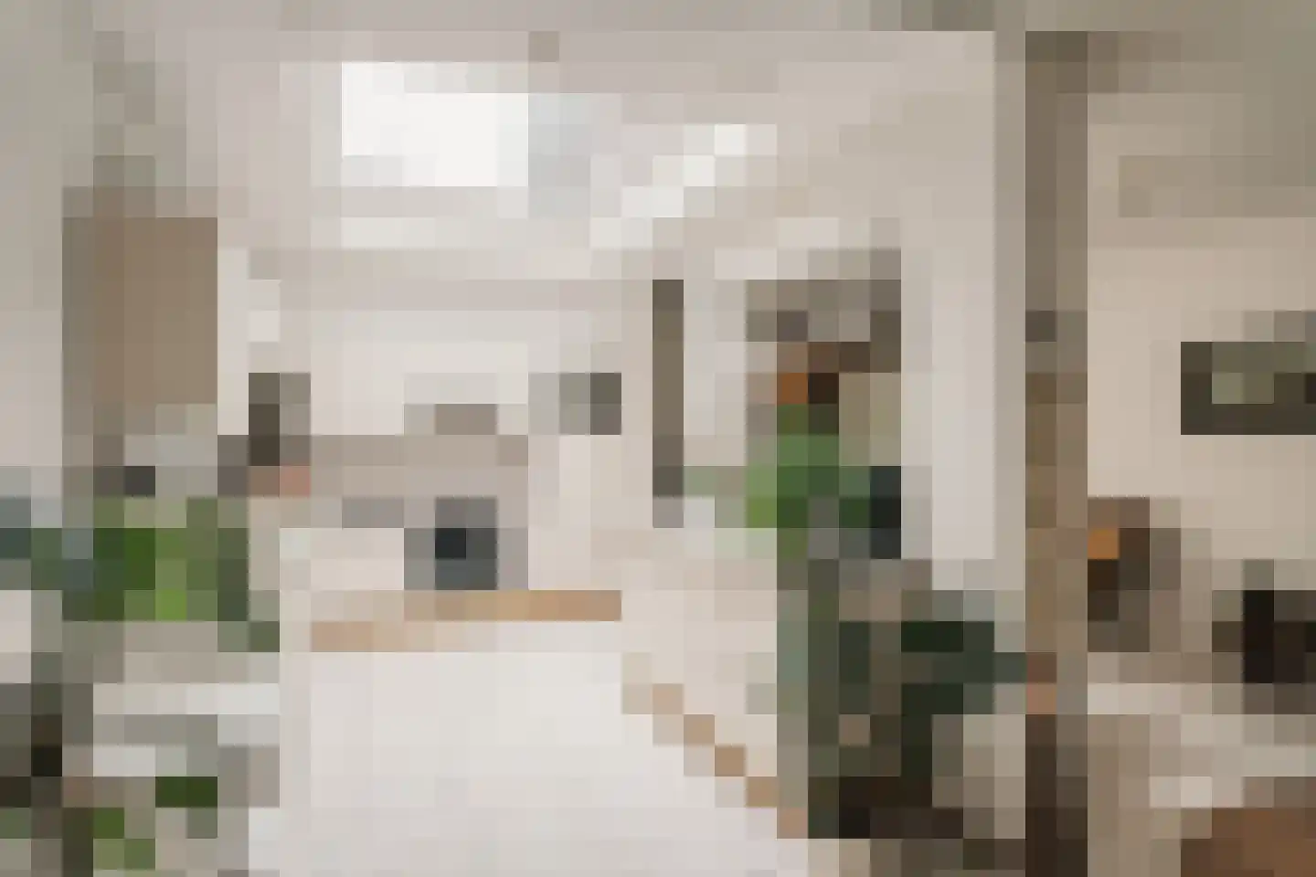 Vliek 64 Haarlem thumbnail 11