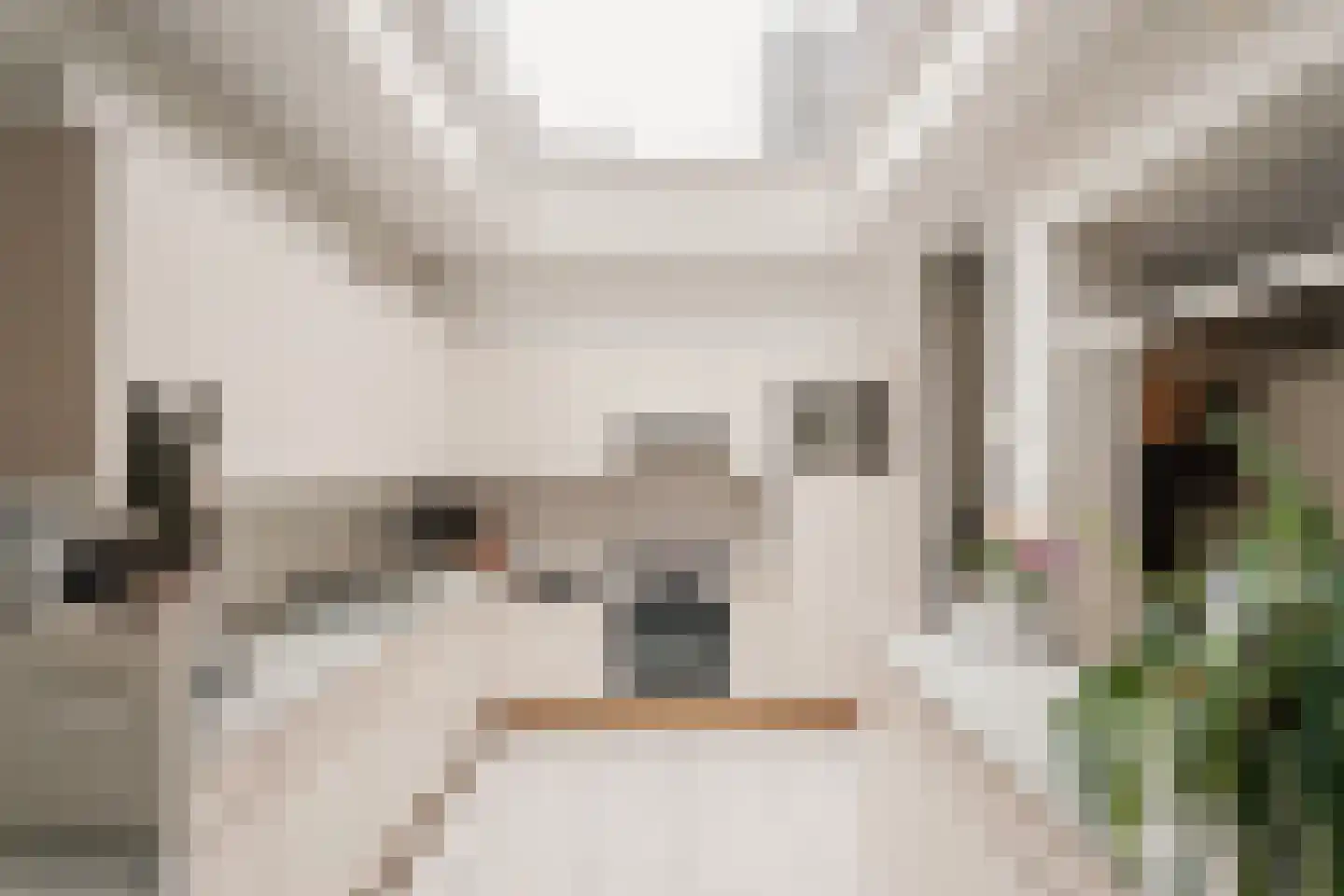 Vliek 64 Haarlem thumbnail 12