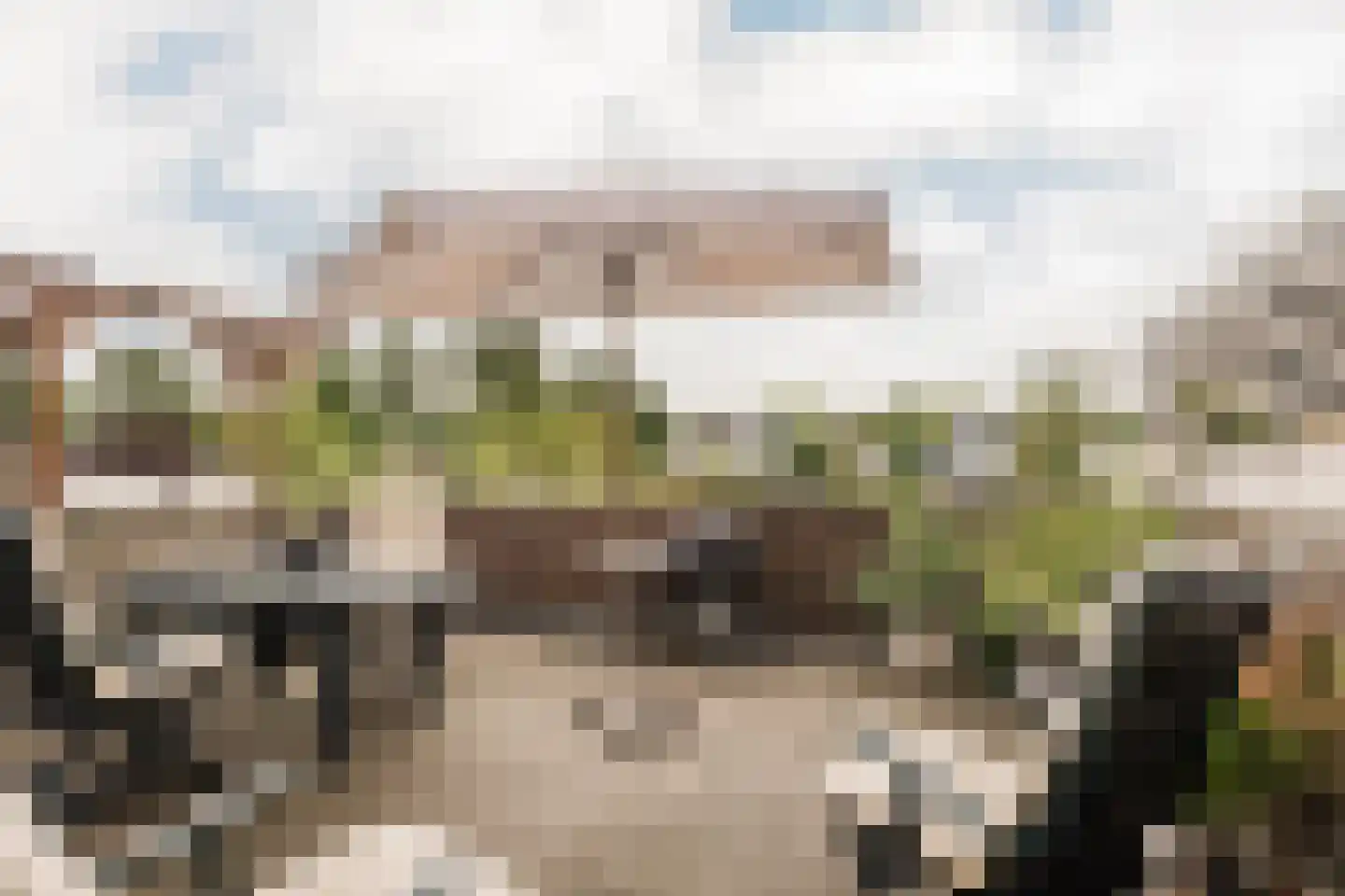 Vliek 64 Haarlem thumbnail 34