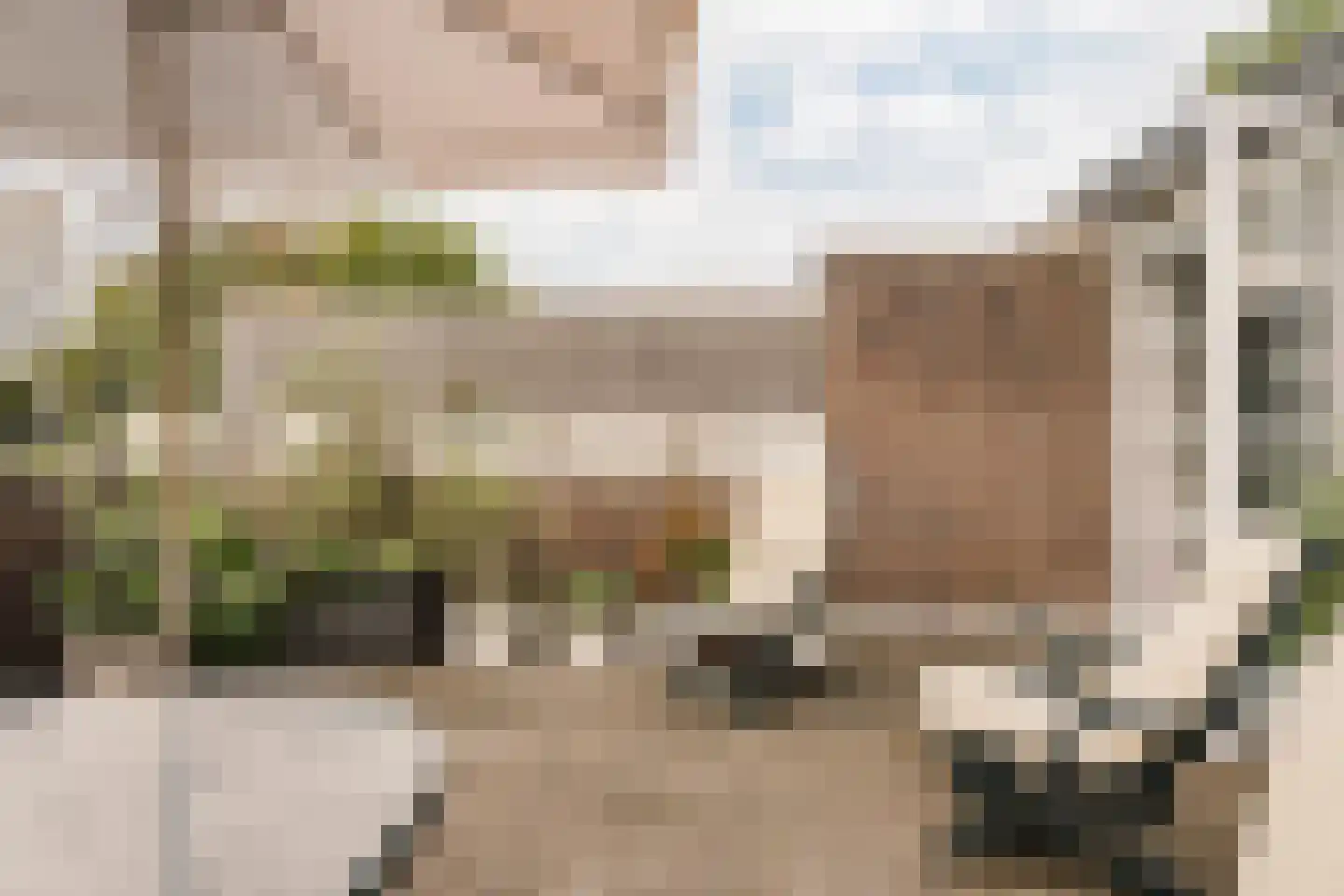 Vliek 64 Haarlem thumbnail 35