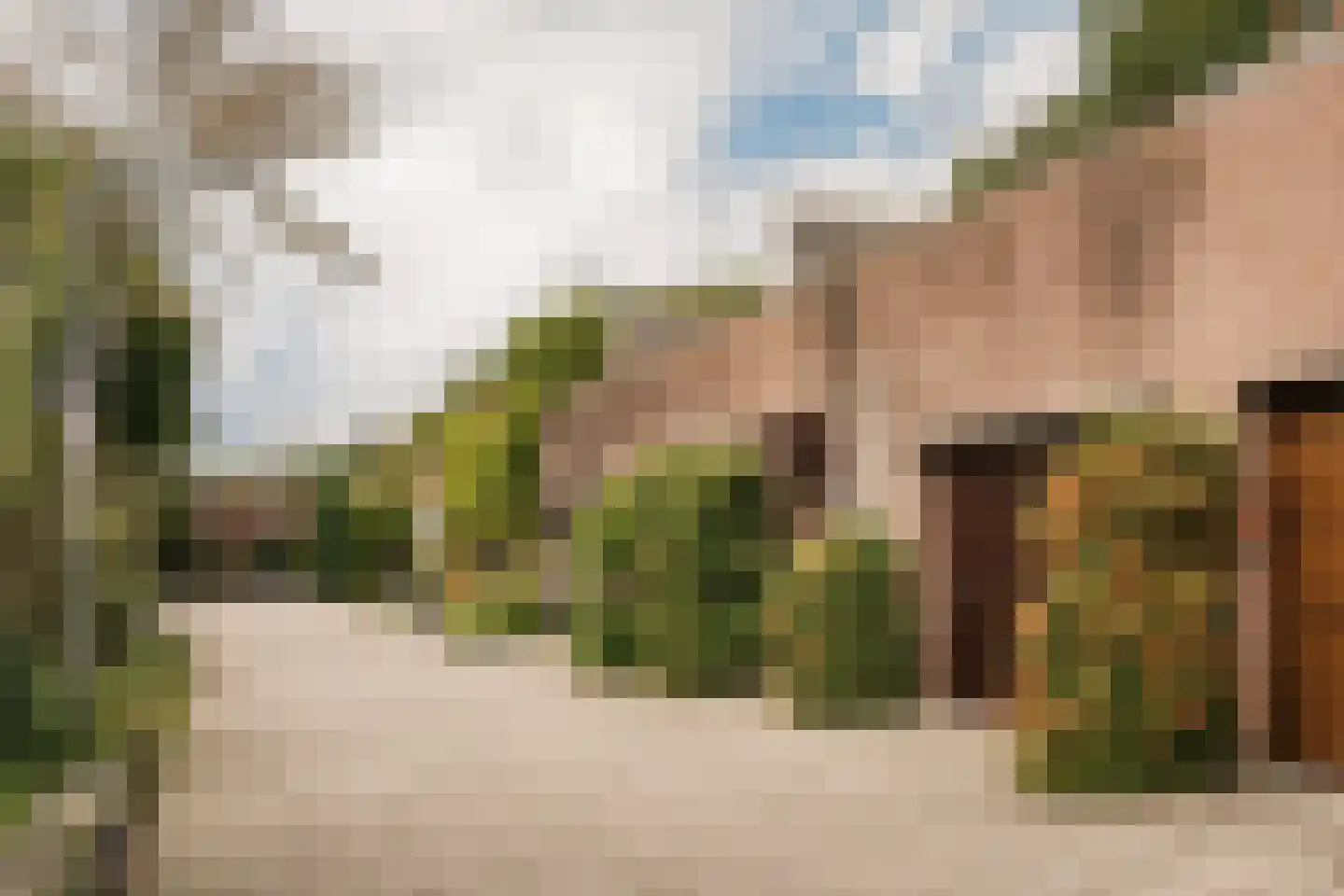 Vliek 64 Haarlem thumbnail 39