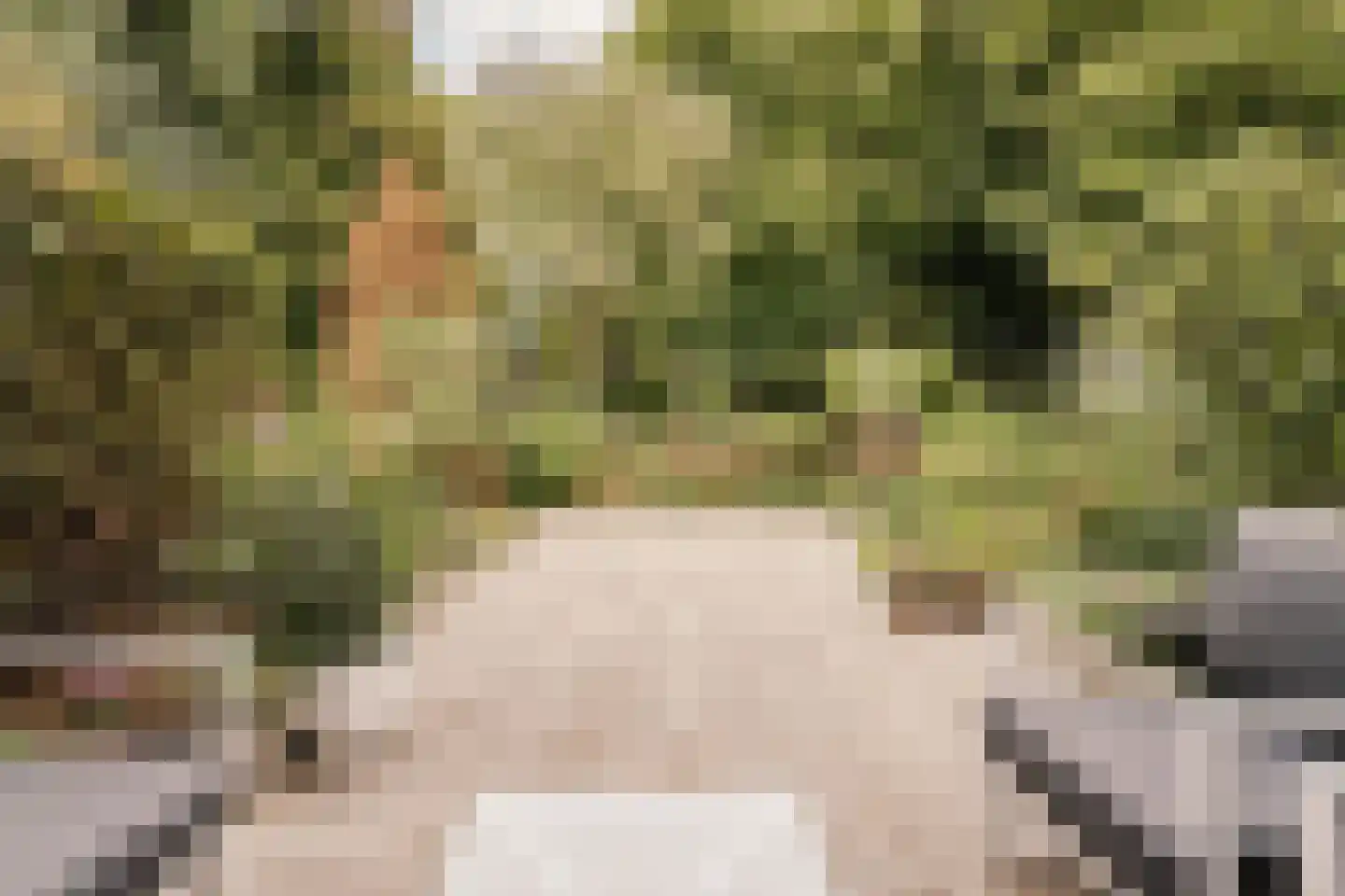 Vliek 64 Haarlem thumbnail 4