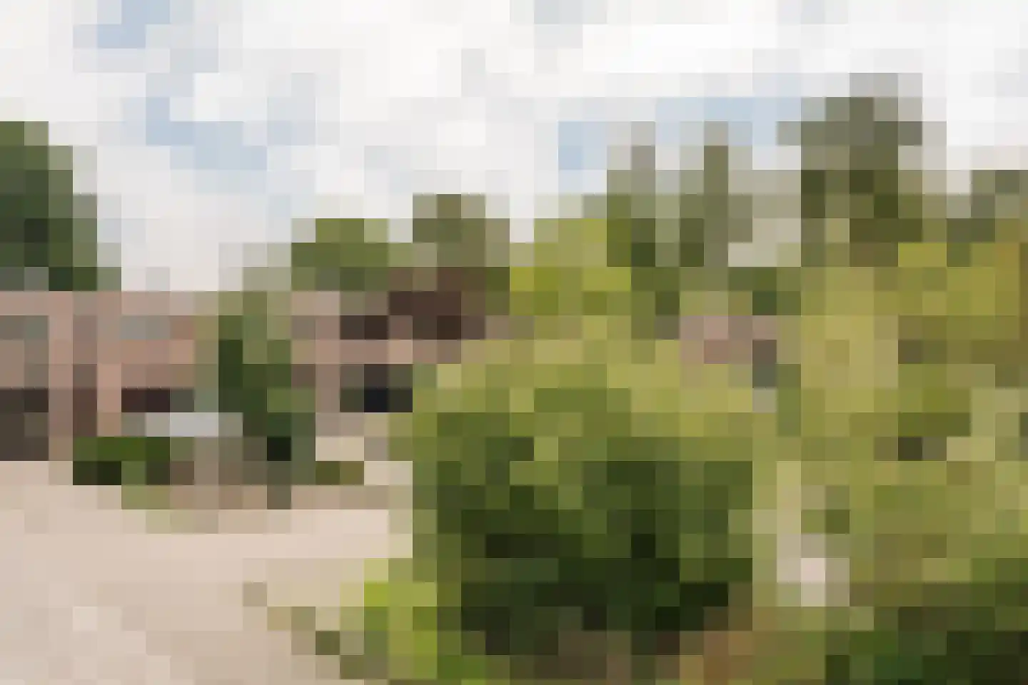 Vliek 64 Haarlem thumbnail 40