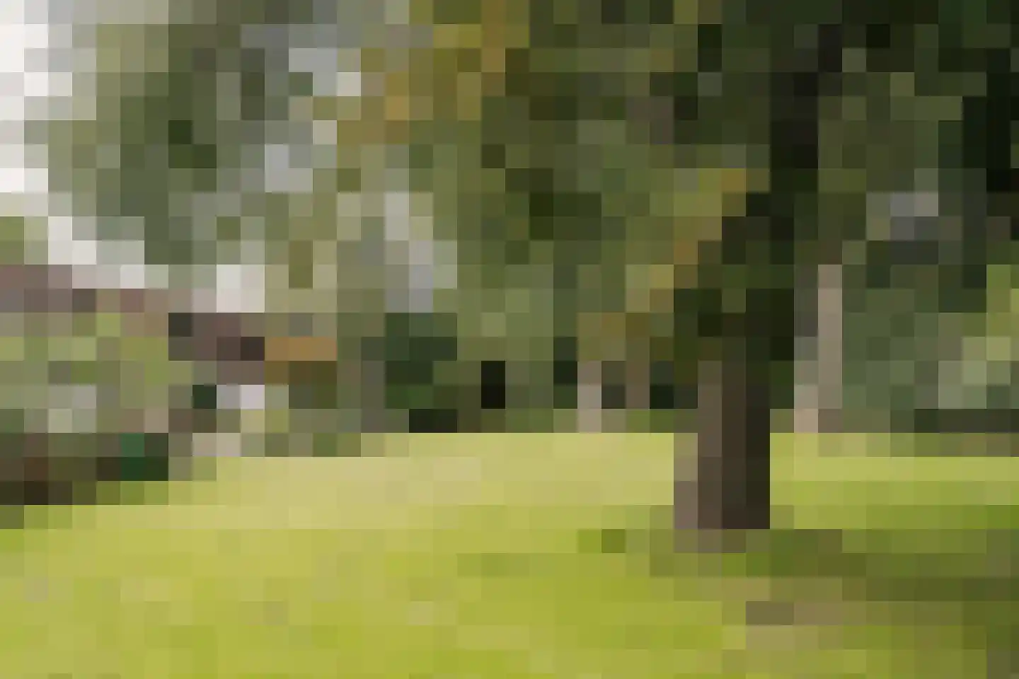 Vliek 64 Haarlem thumbnail 41