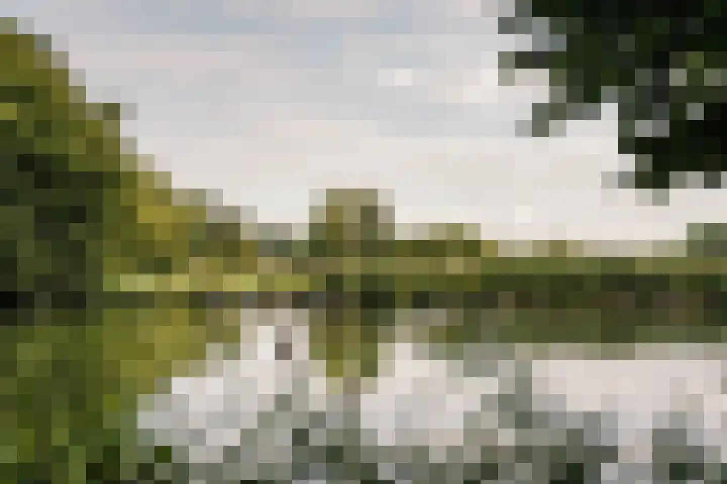 Vliek 64 Haarlem thumbnail 43