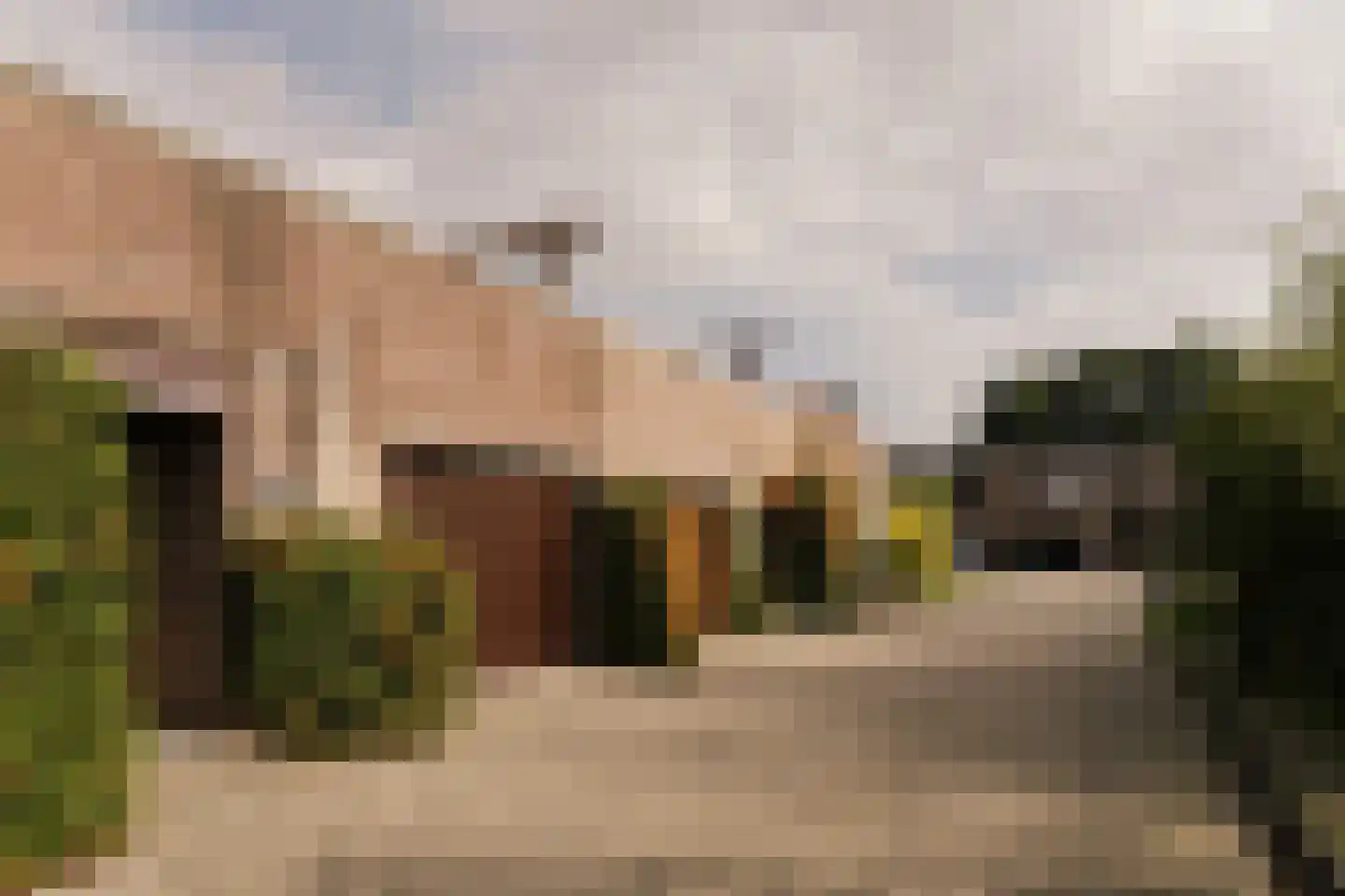 Vliek 64 Haarlem thumbnail 6