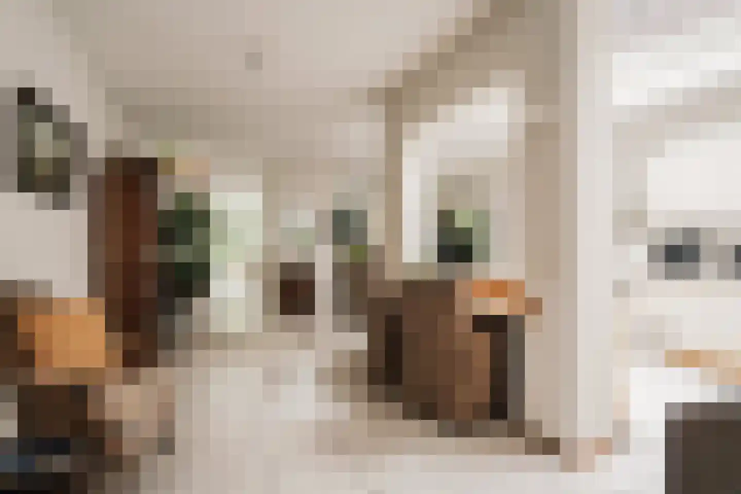 Vliek 64 Haarlem thumbnail 9