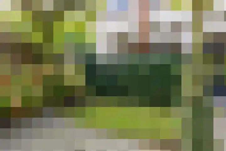 Vlieland 10 Heemskerk thumbnail 43