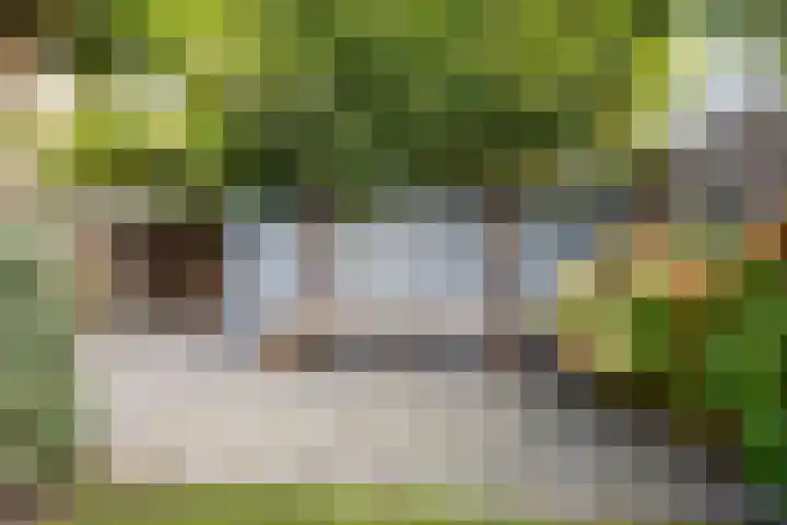 Vlieland 10 Heemskerk thumbnail 44