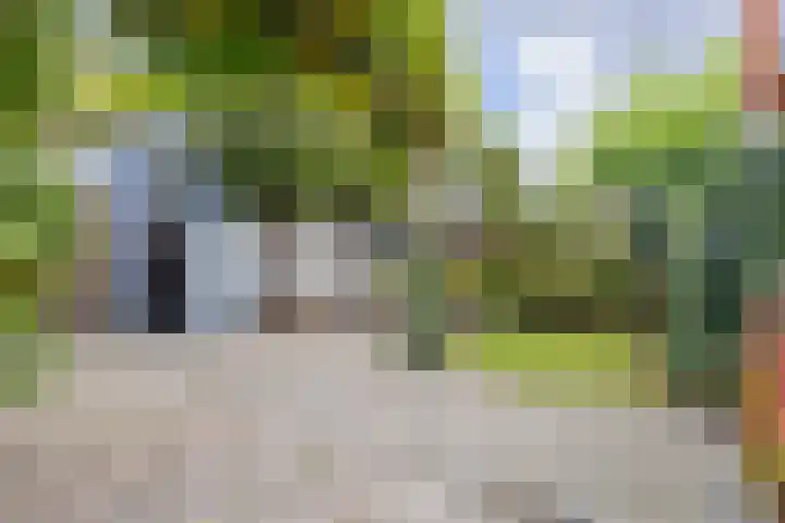 Vlieland 10 Heemskerk thumbnail 45