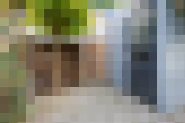 Vlieland 10 Heemskerk thumbnail 47