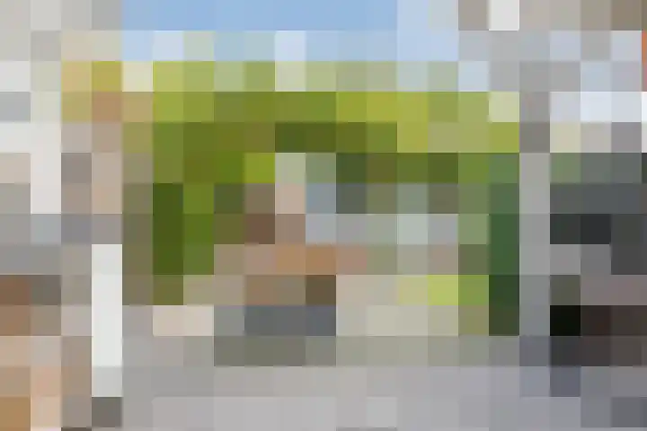 Vlieland 10 Heemskerk thumbnail 48