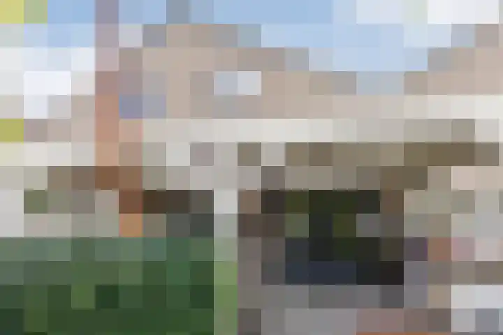 Vlieland 10 Heemskerk thumbnail 51