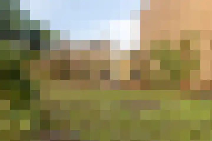 Vlieland 13 Zoetermeer thumbnail 17
