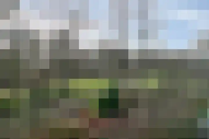 Vlieland 13 Zoetermeer thumbnail 21