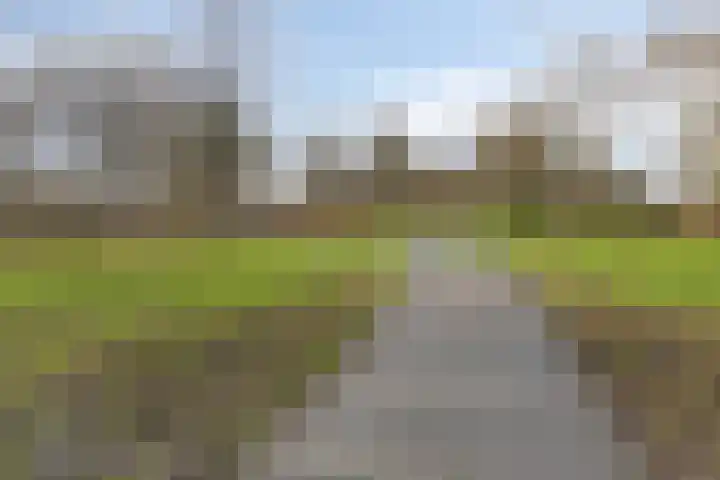 Vlieland 13 Zoetermeer thumbnail 22