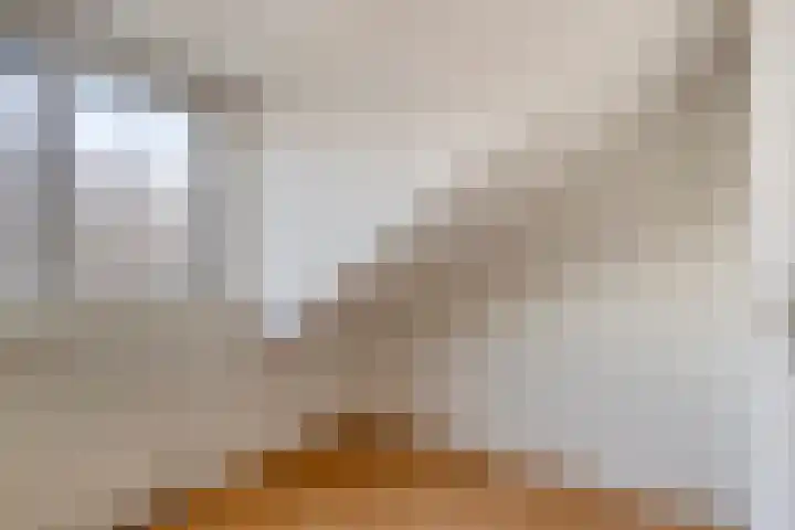 Vlieland 13 Zoetermeer thumbnail 34