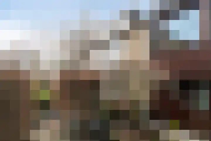 Vlieland 13 Zoetermeer thumbnail 35