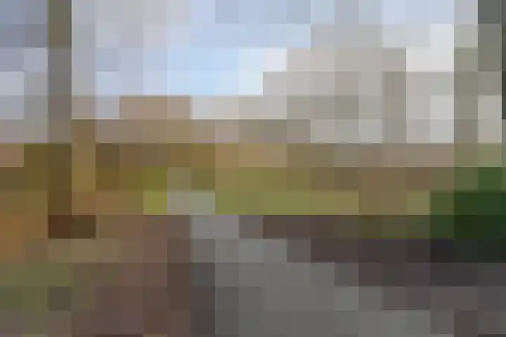Vlieland 13 Zoetermeer thumbnail 37