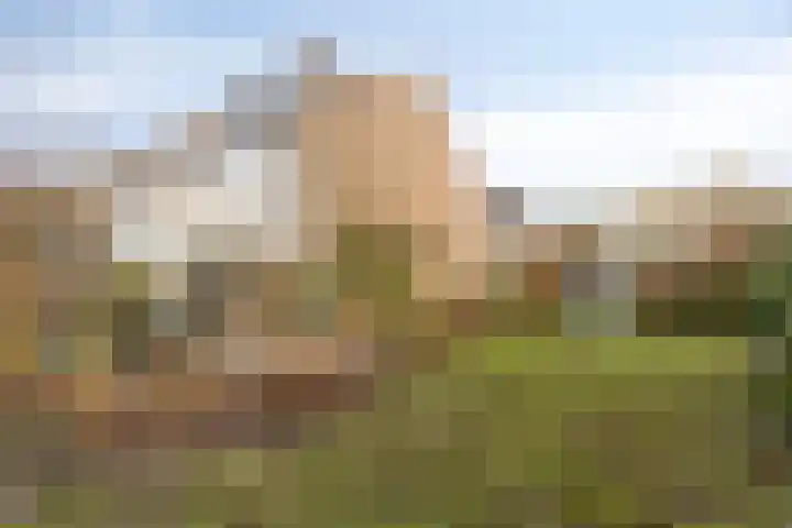 Vlieland 13 Zoetermeer thumbnail 6