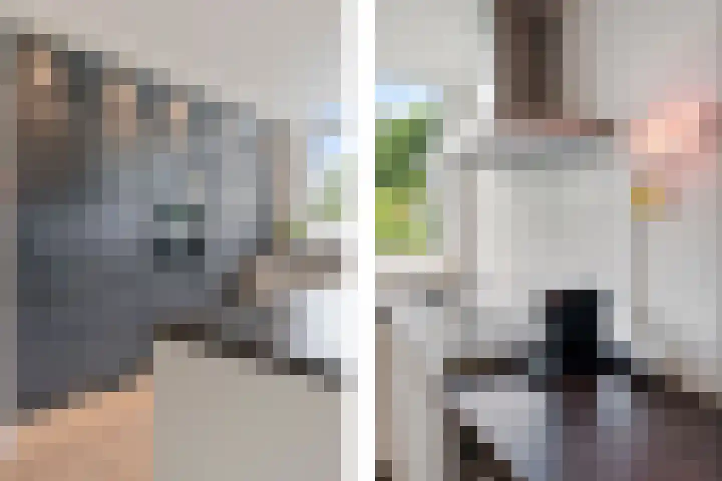 Vlieland 16 Zoetermeer thumbnail 19