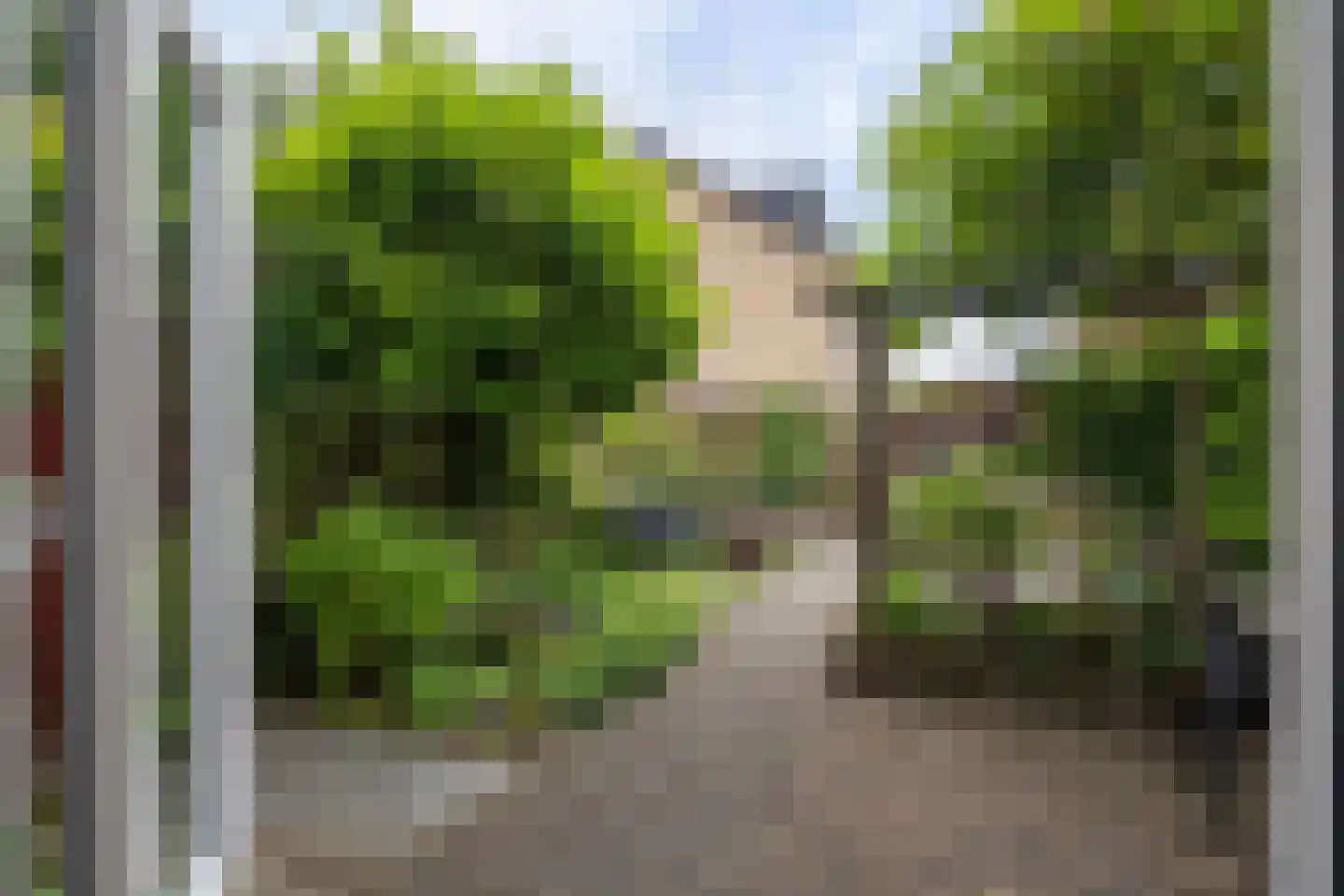 Vlieland 16 Zoetermeer thumbnail 23
