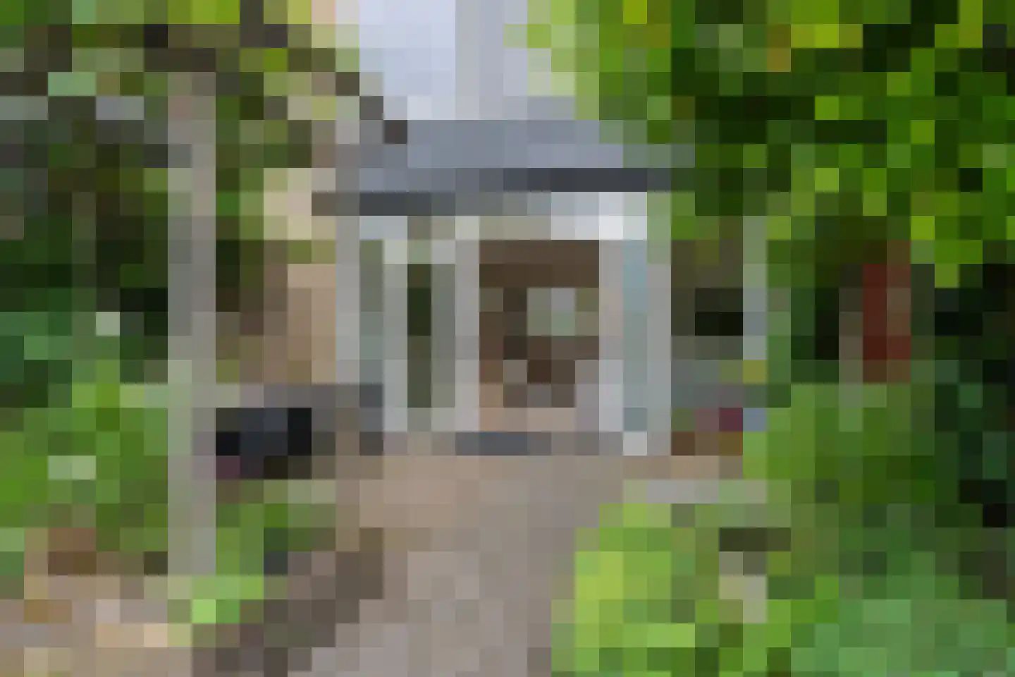 Vlieland 16 Zoetermeer thumbnail 24
