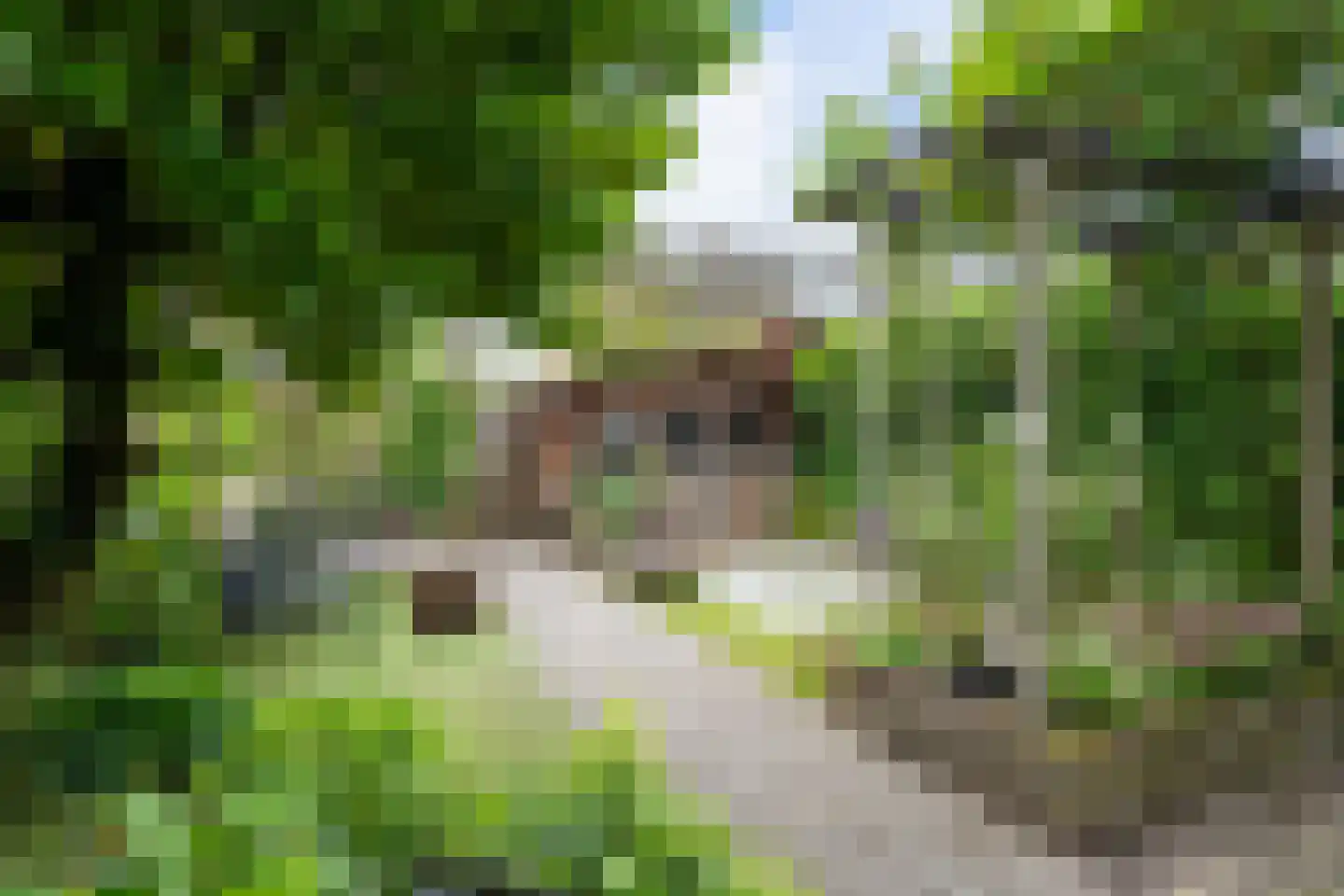 Vlieland 16 Zoetermeer thumbnail 26