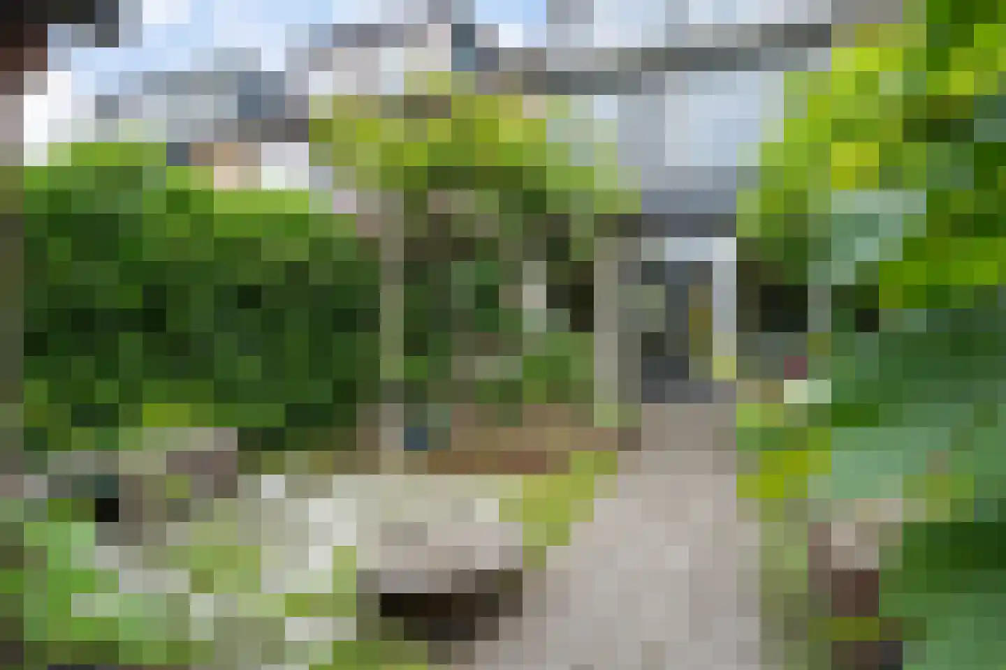 Vlieland 16 Zoetermeer thumbnail 28