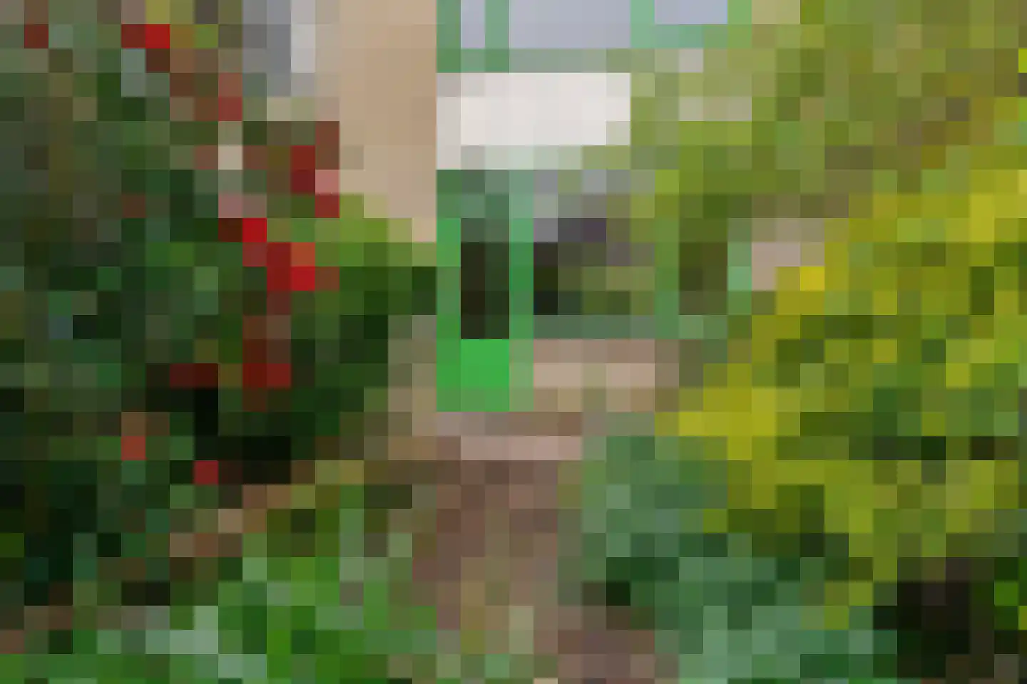 Vlieland 174 Utrecht thumbnail 22