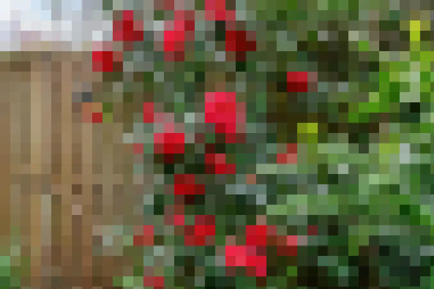 Vlieland 174 Utrecht thumbnail 23