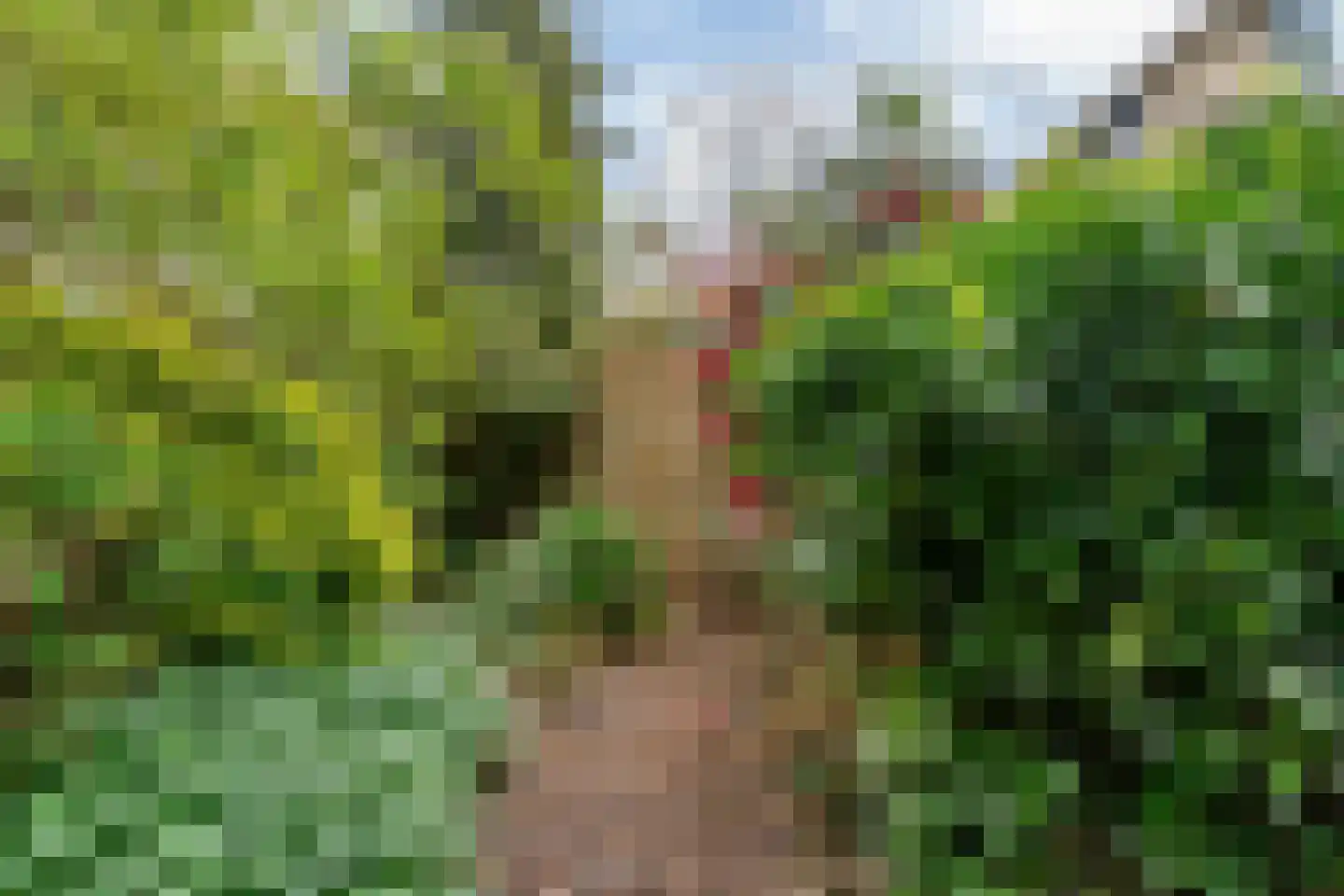 Vlieland 174 Utrecht thumbnail 24