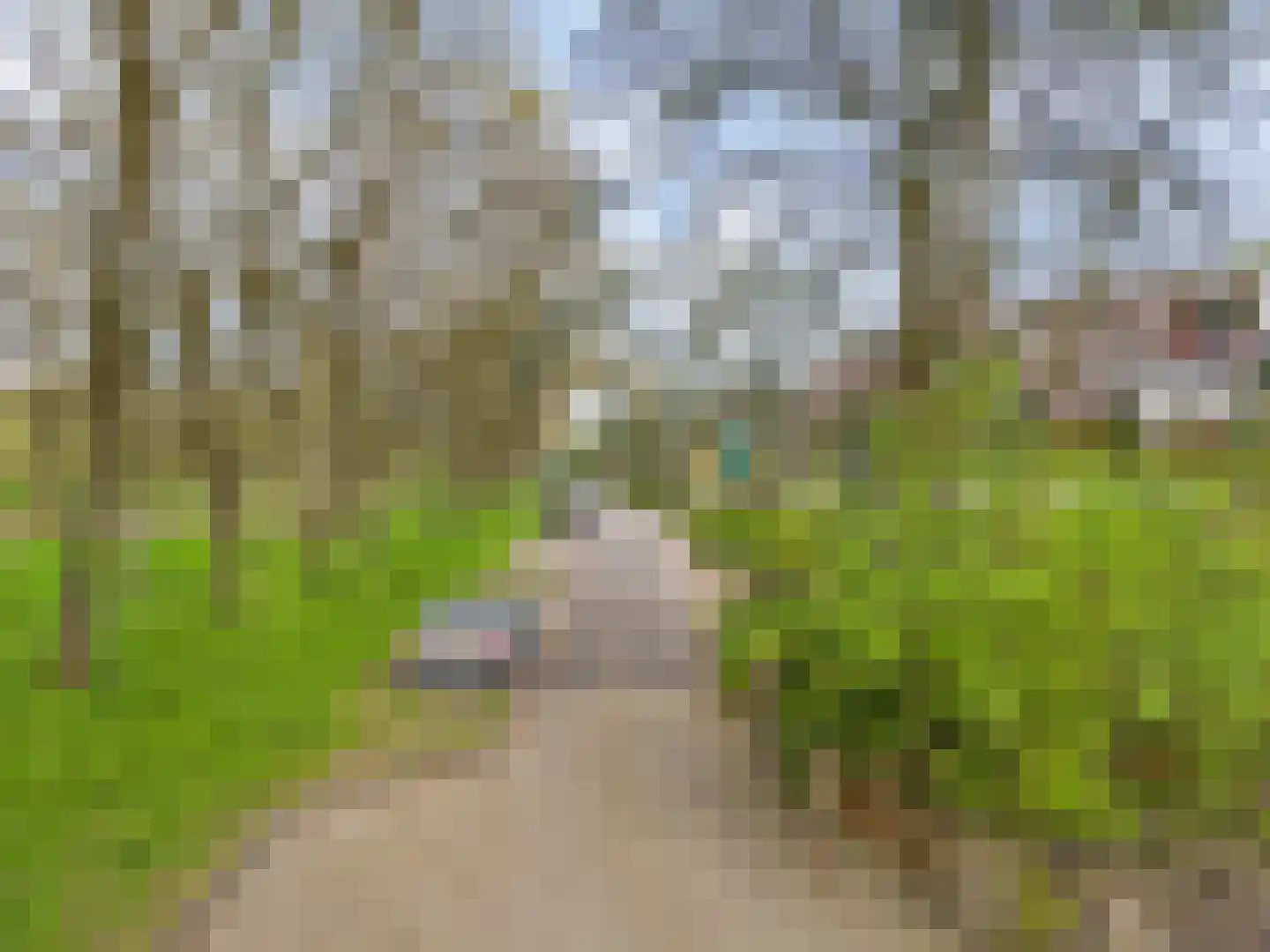Vlieland 174 Utrecht thumbnail 26