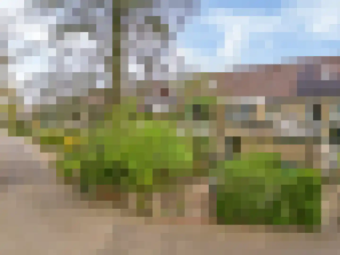 Vlieland 174 Utrecht thumbnail 29
