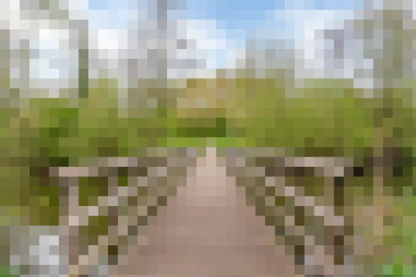 Vlieland 174 Utrecht thumbnail 31