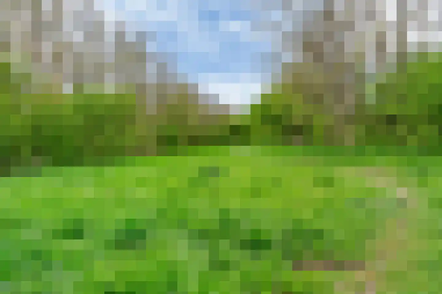 Vlieland 174 Utrecht thumbnail 32