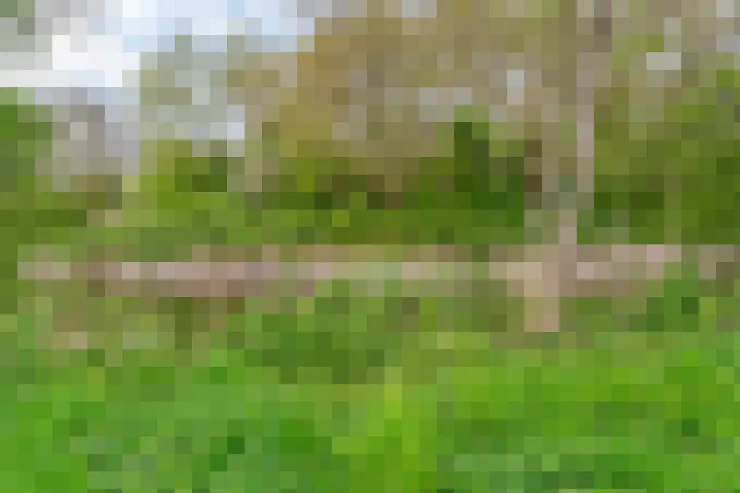 Vlieland 174 Utrecht thumbnail 33