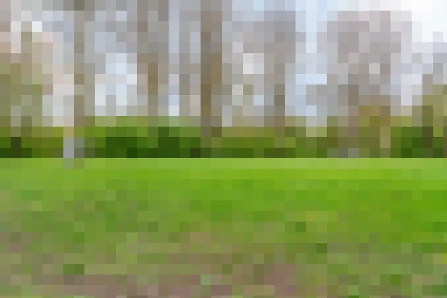Vlieland 174 Utrecht thumbnail 34