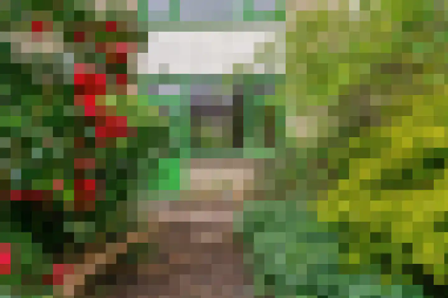 Vlieland 174 Utrecht thumbnail 4