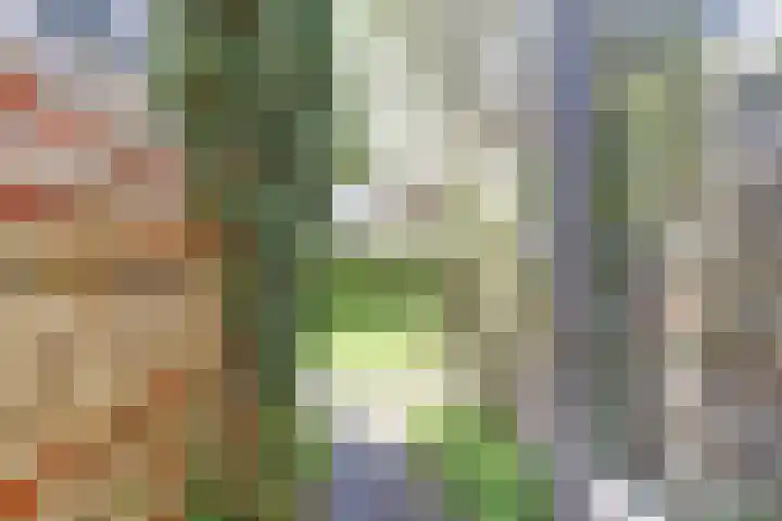 Vlieland 2 Utrecht thumbnail 16