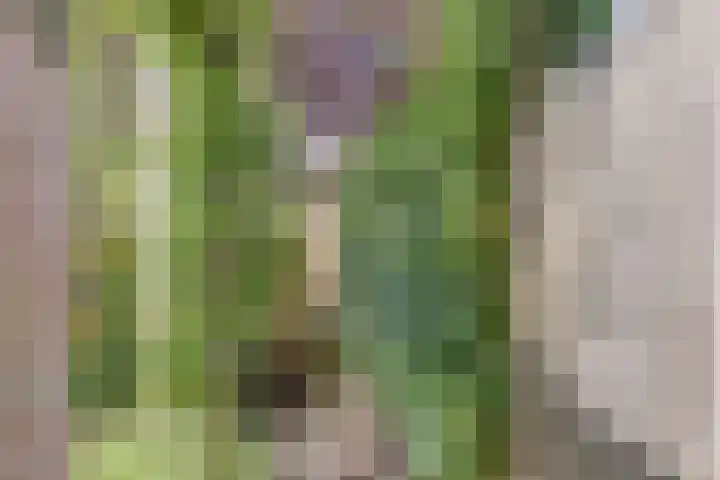 Vlieland 2 Utrecht thumbnail 17