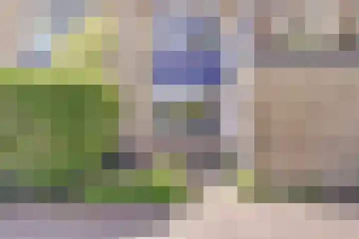 Vlieland 2 Utrecht thumbnail 20