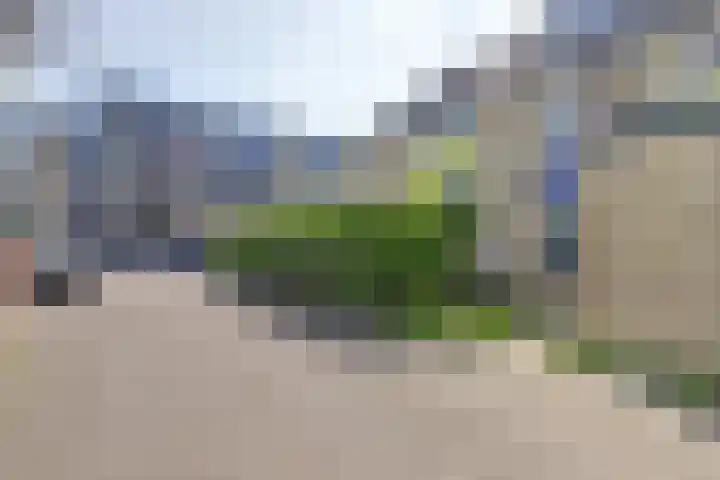 Vlieland 2 Utrecht thumbnail 21
